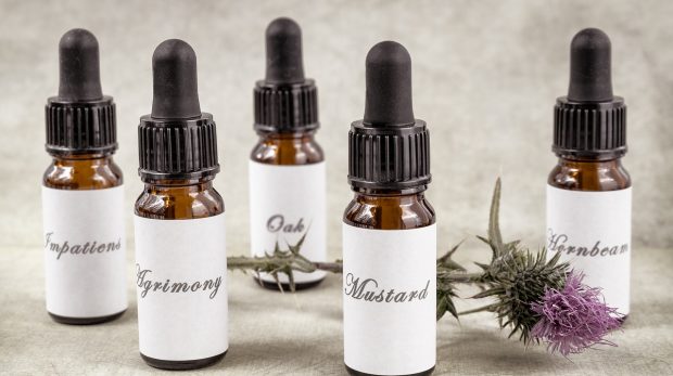 bach flower remedy, bach flower essence, homeopathy